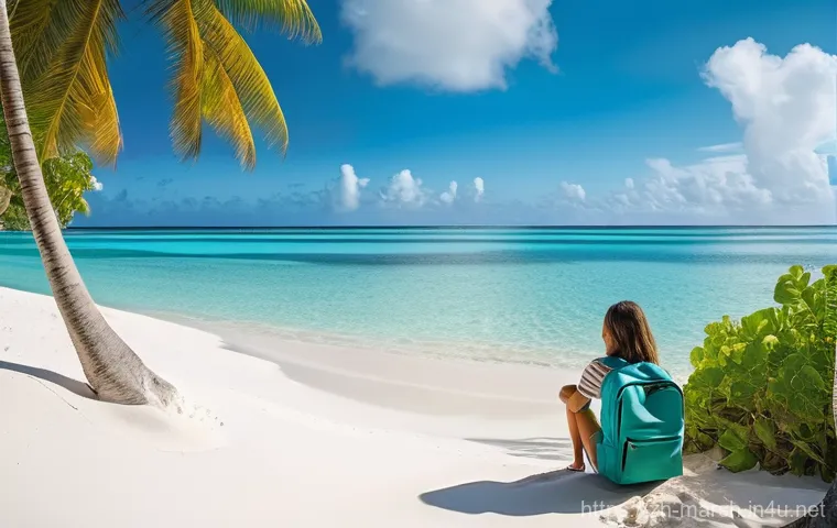 마셜 제도에서의 치안과 안전 정보 - **Prompt 1: Serene Island Escape**
    "A peaceful scene of a solo female traveler, casually dressed...