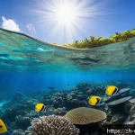 마셜 제도 주요 관광지 - A vibrant underwater scene at the coral reefs of the Marshall Islands, featuring diverse colorful co...
